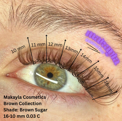Brown Collection